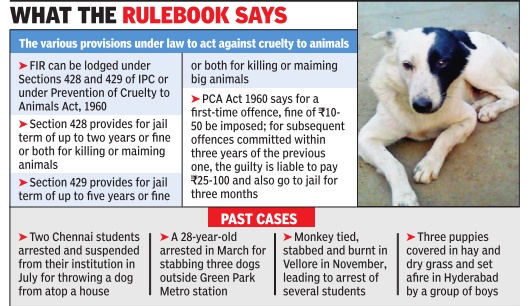 Animal rights: India - Indpaedia